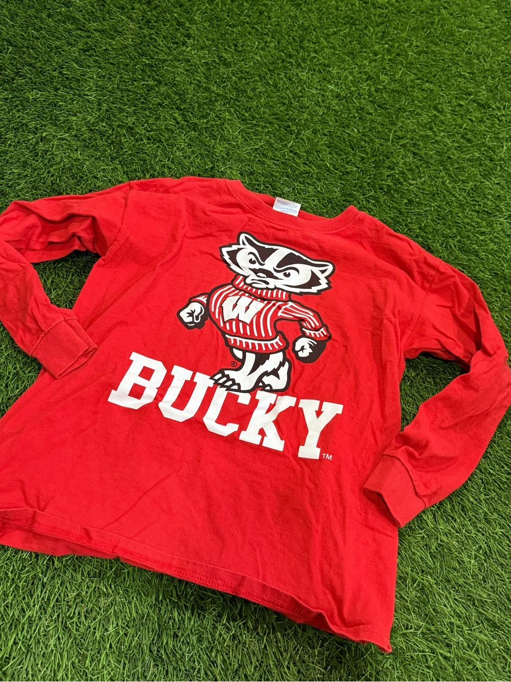 Gildan Bucky Badger - Wisconsin Badgers - Collegiate Long Sleeve Tshirt
